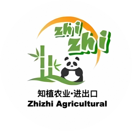 Zhizhi Trade Import And Export Co.,Ltd